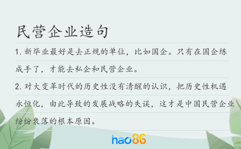 民营企业造句