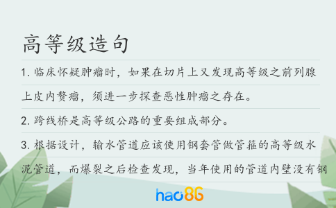高等级造句