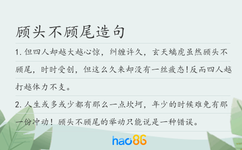 顾头不顾尾造句