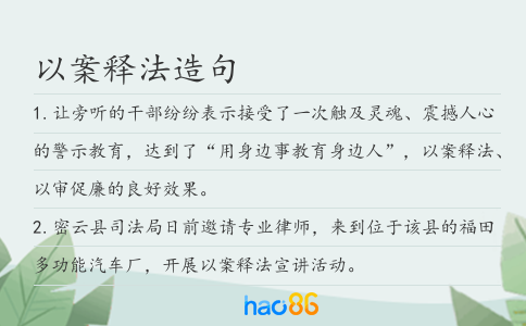 以案释法造句