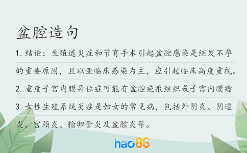 盆腔造句