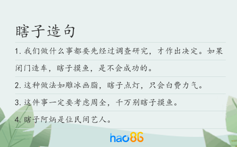 瞎子造句