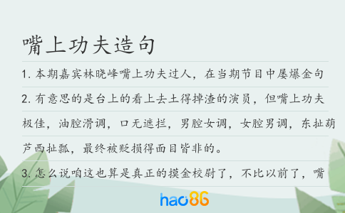 嘴上功夫造句