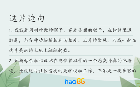 这片造句