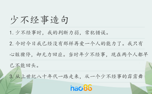 少不经事造句