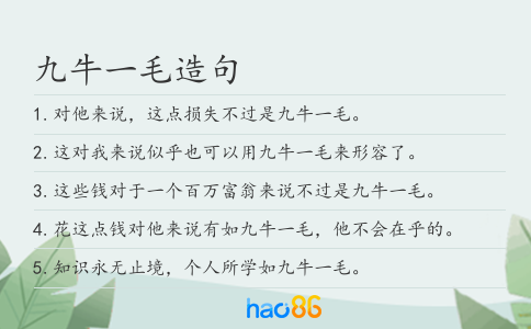 九牛一毛造句