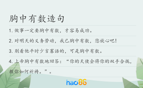 胸中有数造句