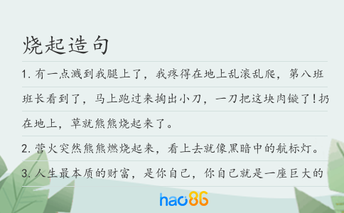 烧起造句