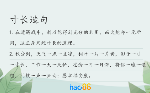寸长造句