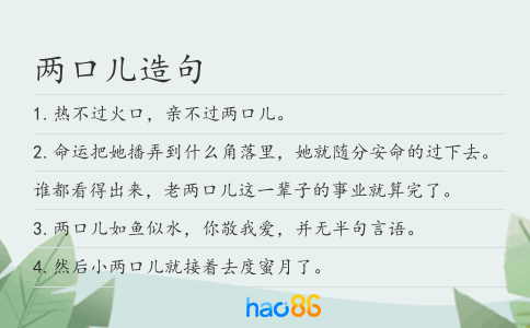 两口儿造句