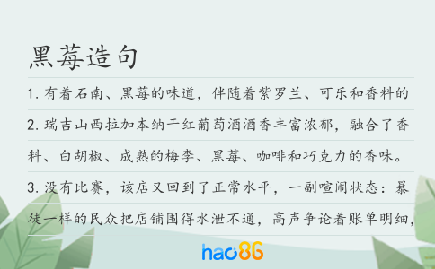黑莓造句