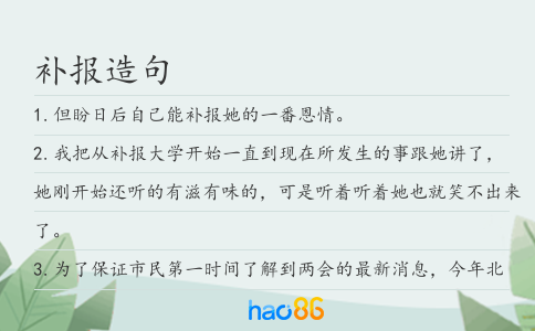 补报造句