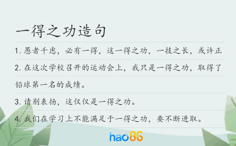 一得之功造句