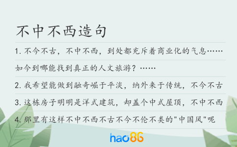 不中不西造句