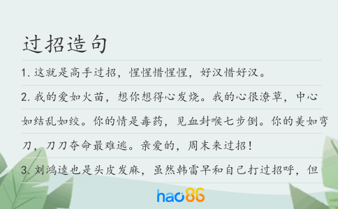 过招造句
