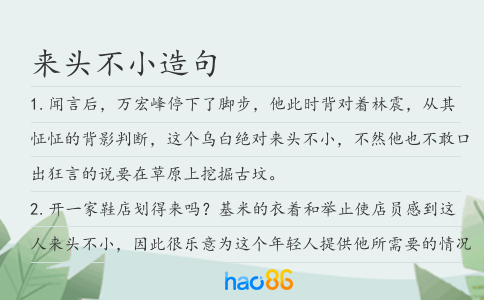 来头不小造句