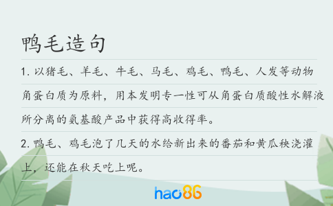 鸭毛造句