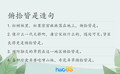 俯拾皆是造句