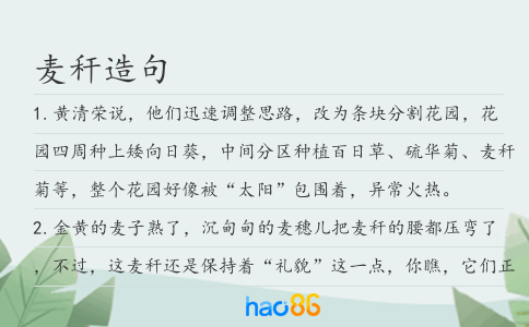 麦秆造句