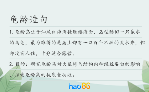 龟龄造句