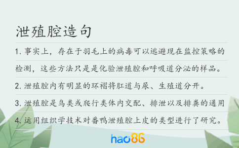 泄殖腔造句