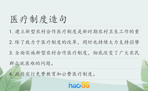 医疗制度造句