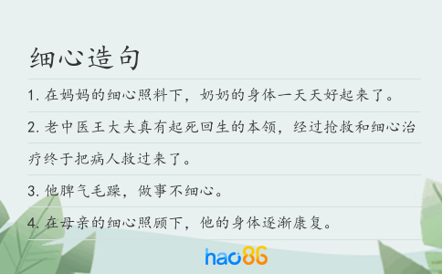 细心造句