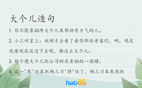 大个儿造句
