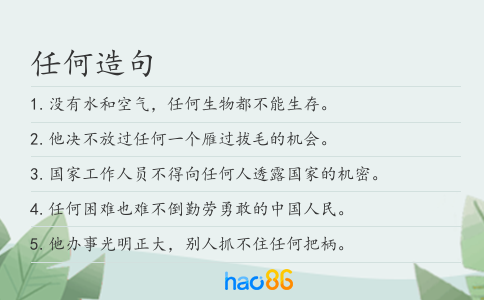 任何造句