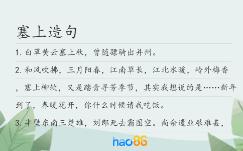 塞上造句