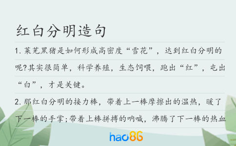 红白分明造句