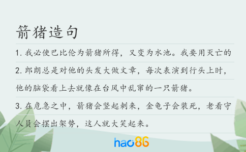 箭猪造句