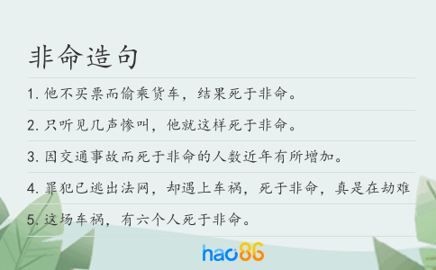 非命造句