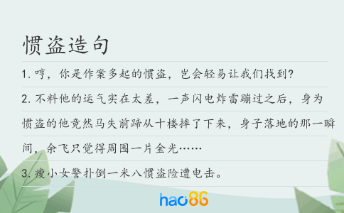惯盗造句
