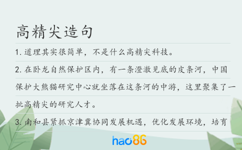 高精尖造句