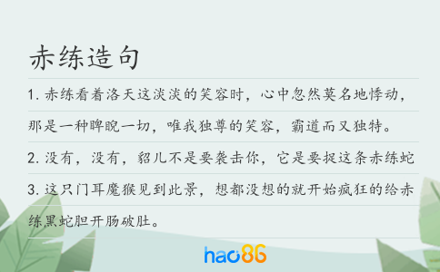 赤练造句