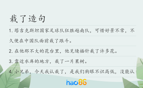 栽了造句