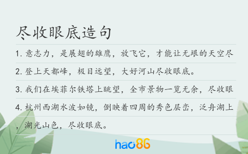 尽收眼底造句