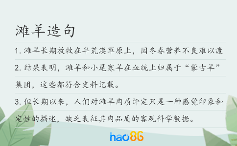 滩羊造句
