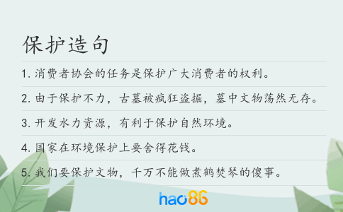 保护造句