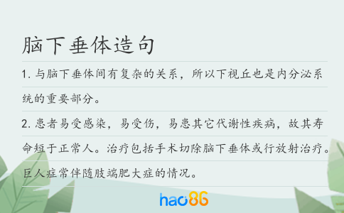 脑下垂体造句