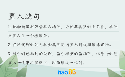 置入造句