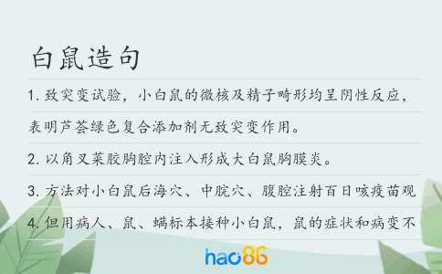 白鼠造句