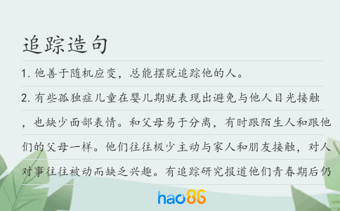 追踪造句