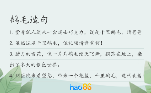 鹅毛造句