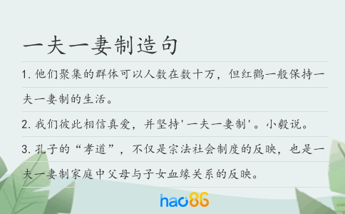 一夫一妻制造句