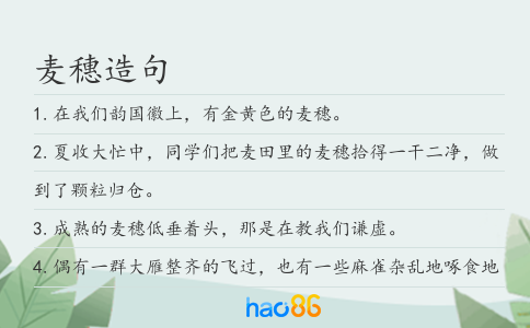 麦穗造句