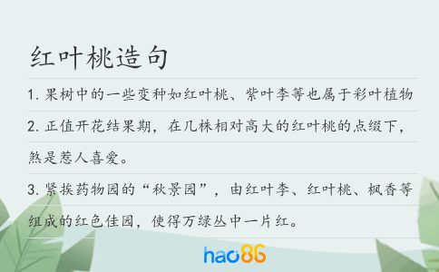 红叶桃造句