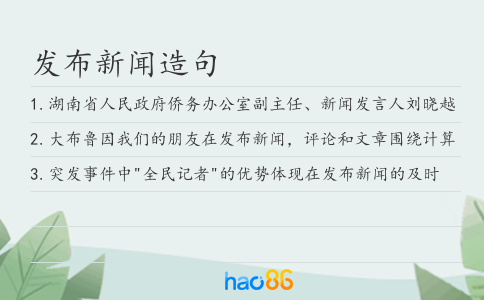 发布新闻造句