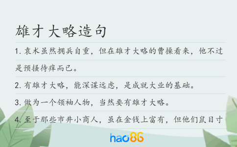 雄才大略造句